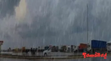 شتاء قارس.. حالة الطقس غدا الأحد أمطار رعدية بغزارة حتى 2026